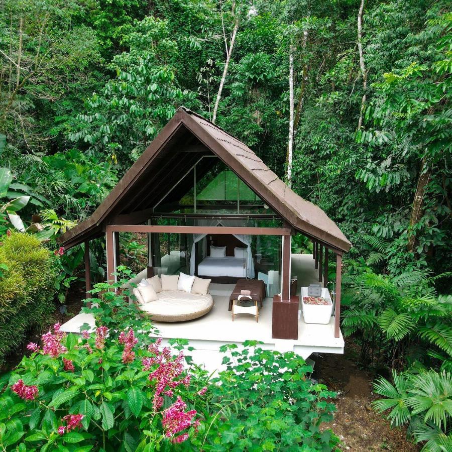 Oxygen Jungle & (adults Only) Resort Uvita