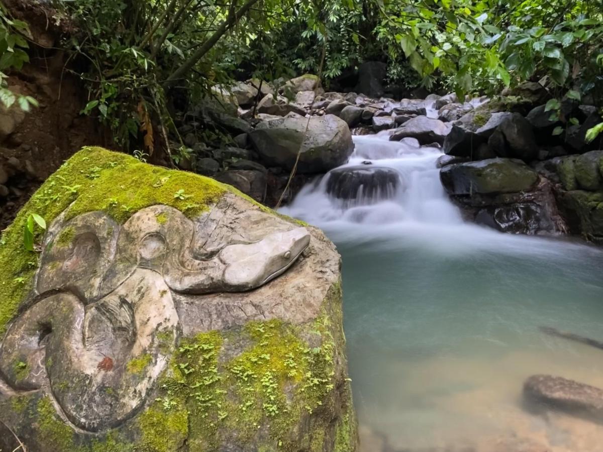 Oxygen Jungle & (adults Only) Resort Uvita