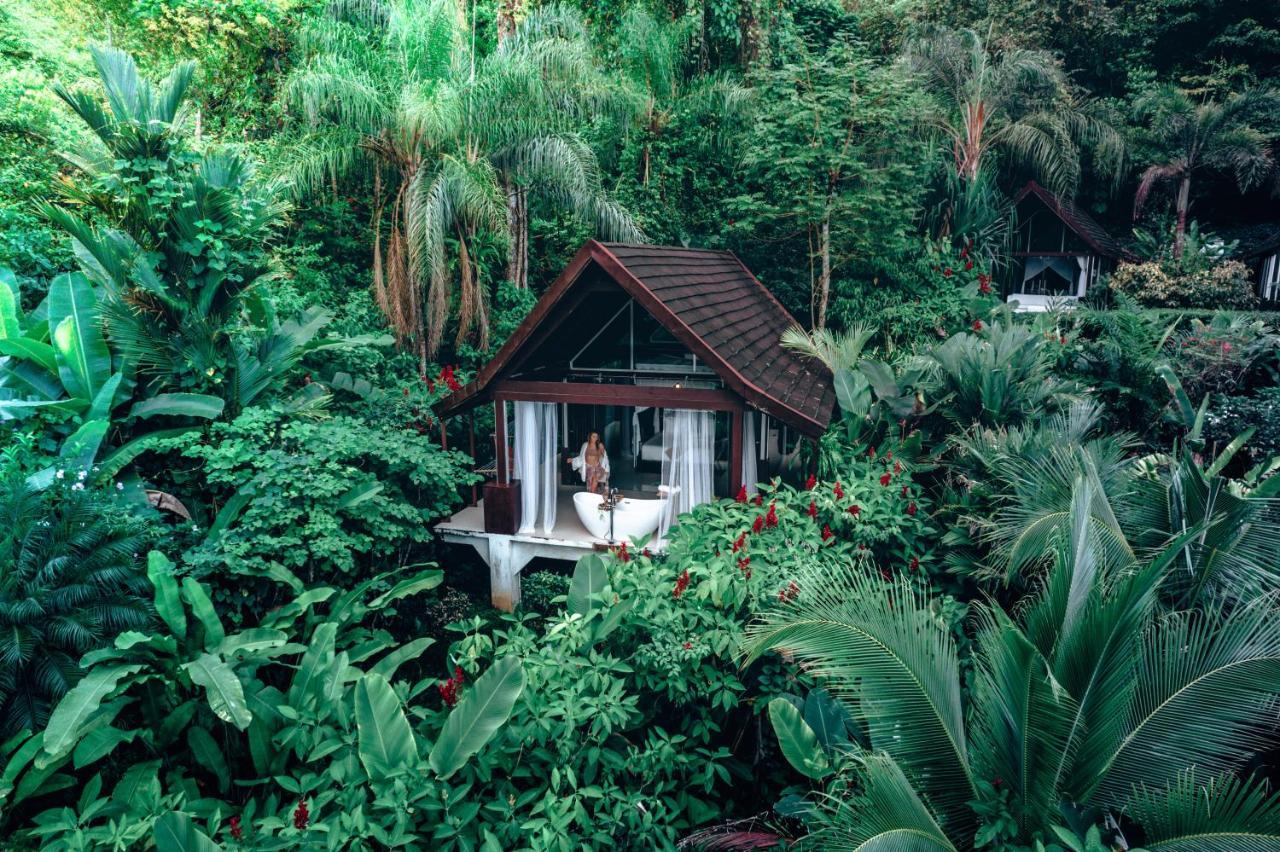 Resort Oxygen Jungle & (adults Only)
