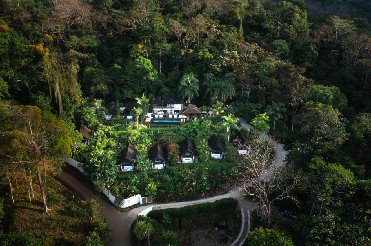 Oxygen Jungle & (adults Only) 5*