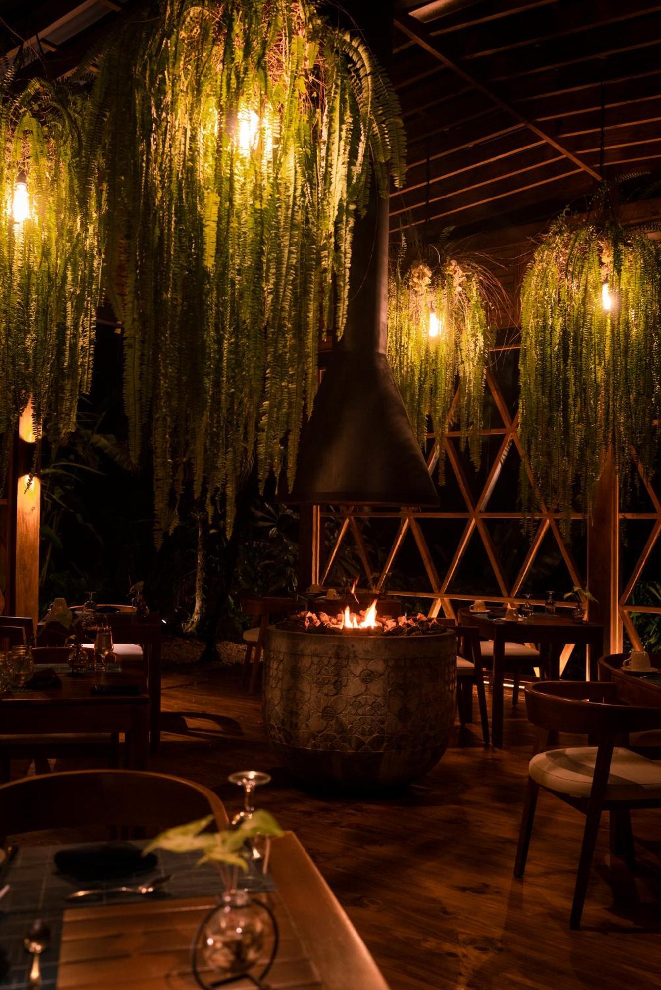 Oxygen Jungle & (adults Only) Resort Uvita