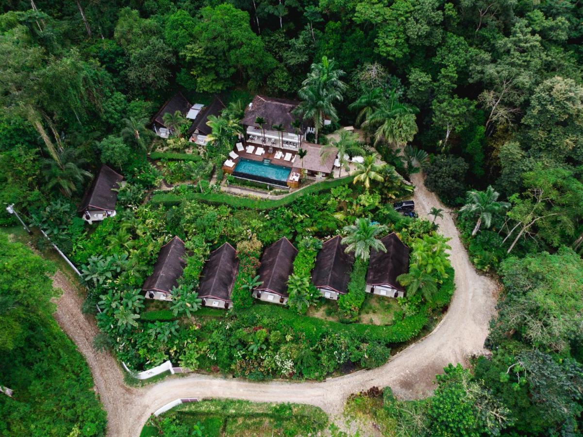 Oxygen Jungle & (adults Only) 5*
